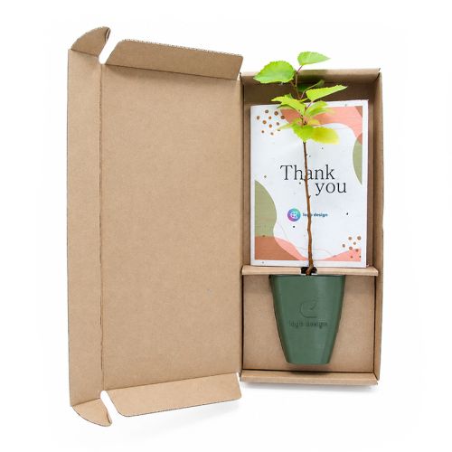 Boomgeschenk in doosje met logo - Afbeelding 1